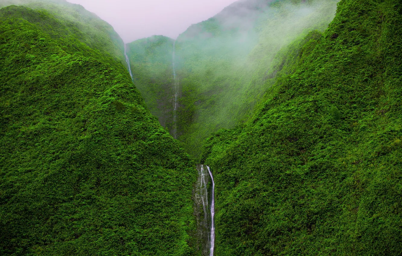 Фото обои лес, горы, природа, водопад