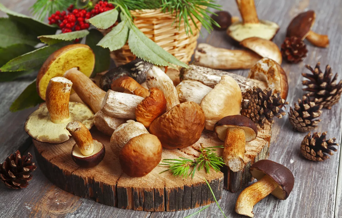 Фото обои осень, природа, ягоды, стол, грибы, еда, размытость, красные