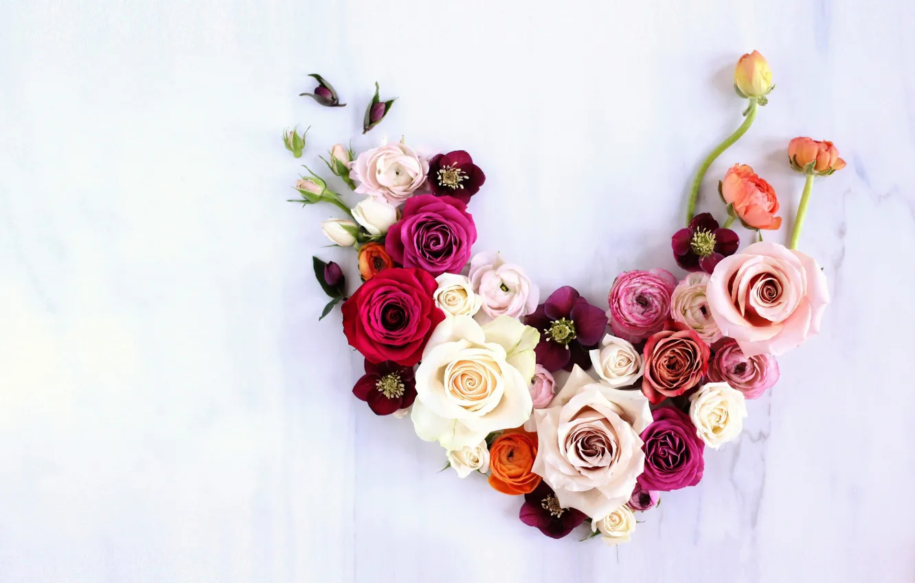 Фото обои цветы, фон, розы, композиция