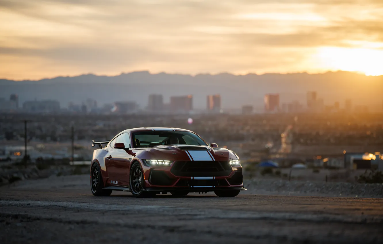 Фото обои Mustang, Shelby, Shelby Super Snake, 2024