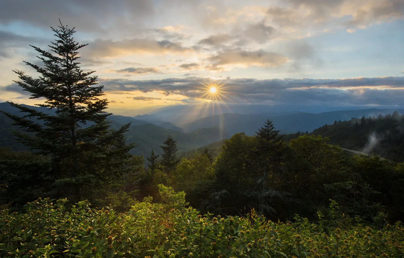 Фото обои закат, горы, North Carolina, Северная Каролина, Blue Ridge Parkway, Plott Balsam Mountain, Waterrock Knob