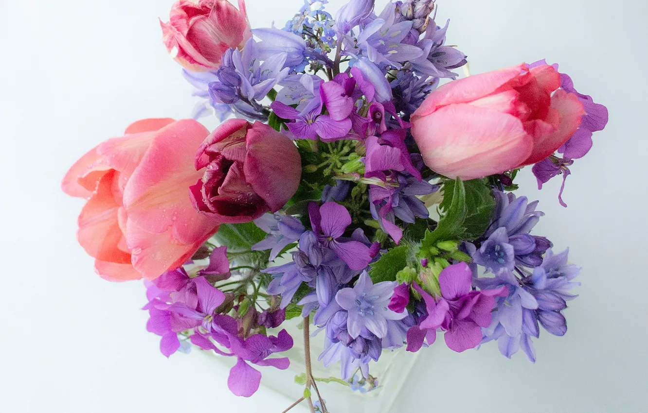Фото обои букет, тюльпаны, колокольчики, светлый фон, незабудки, лунник