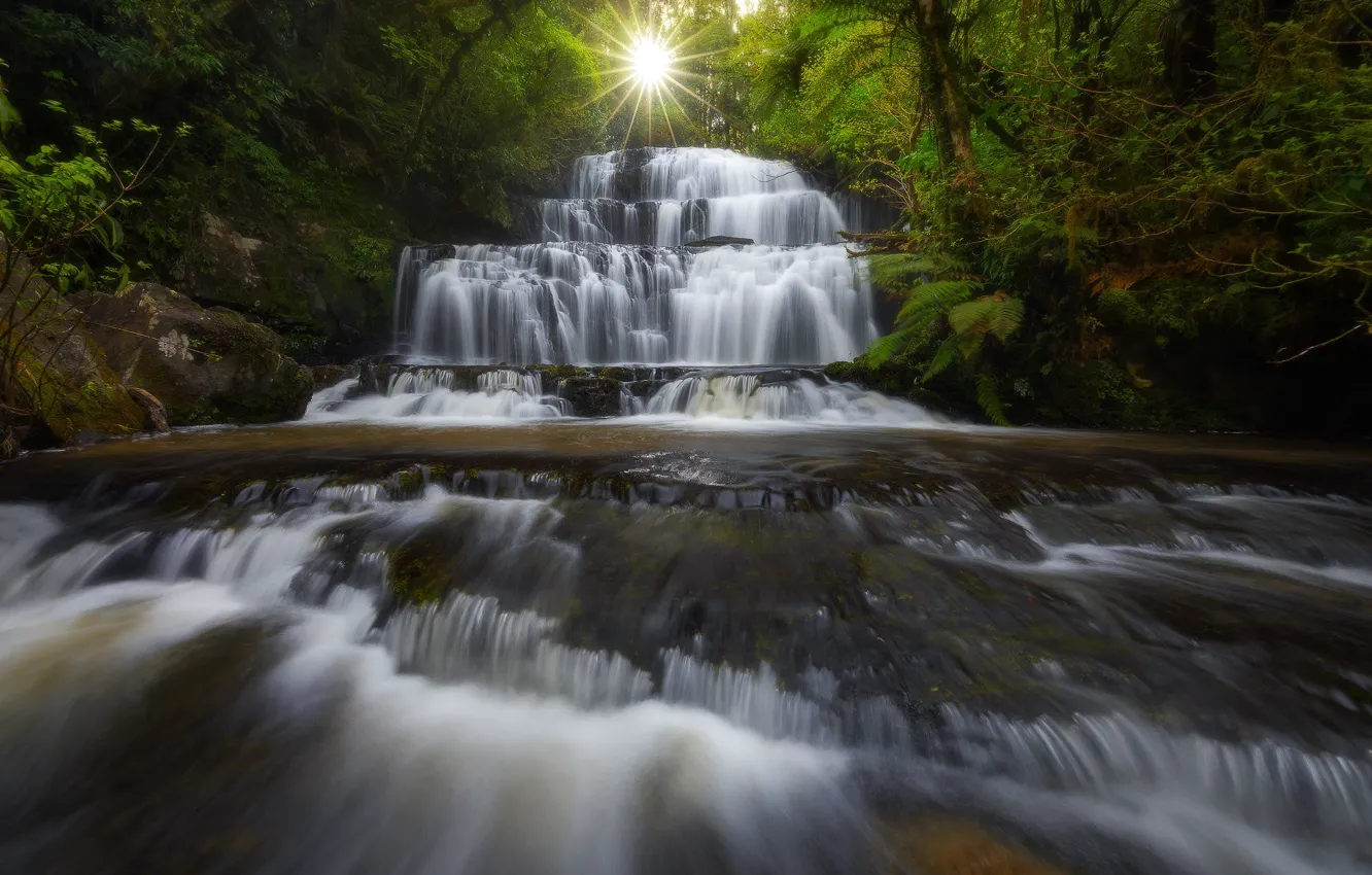 Фото обои лес, река, водопад, Новая Зеландия, каскад, New Zealand, Purakaunui Falls, Purakaunui River