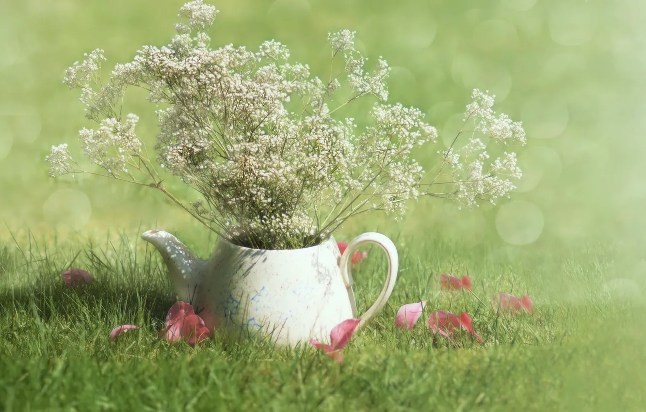 Фото обои grass, sunshine, field, flowers, morning, petals, teapot