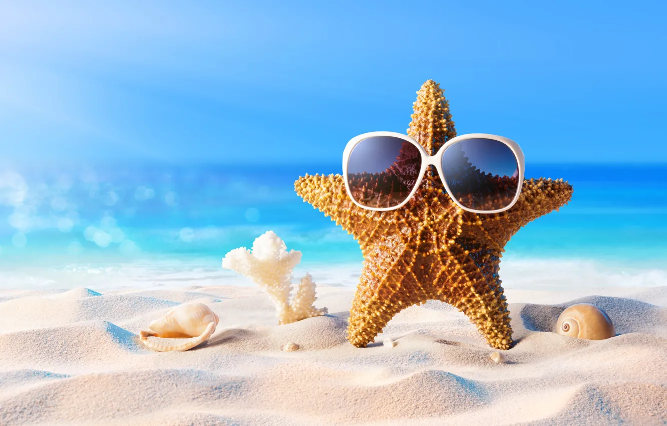 Фото обои песок, море, пляж, лето, звезда, отпуск, очки, ракушки