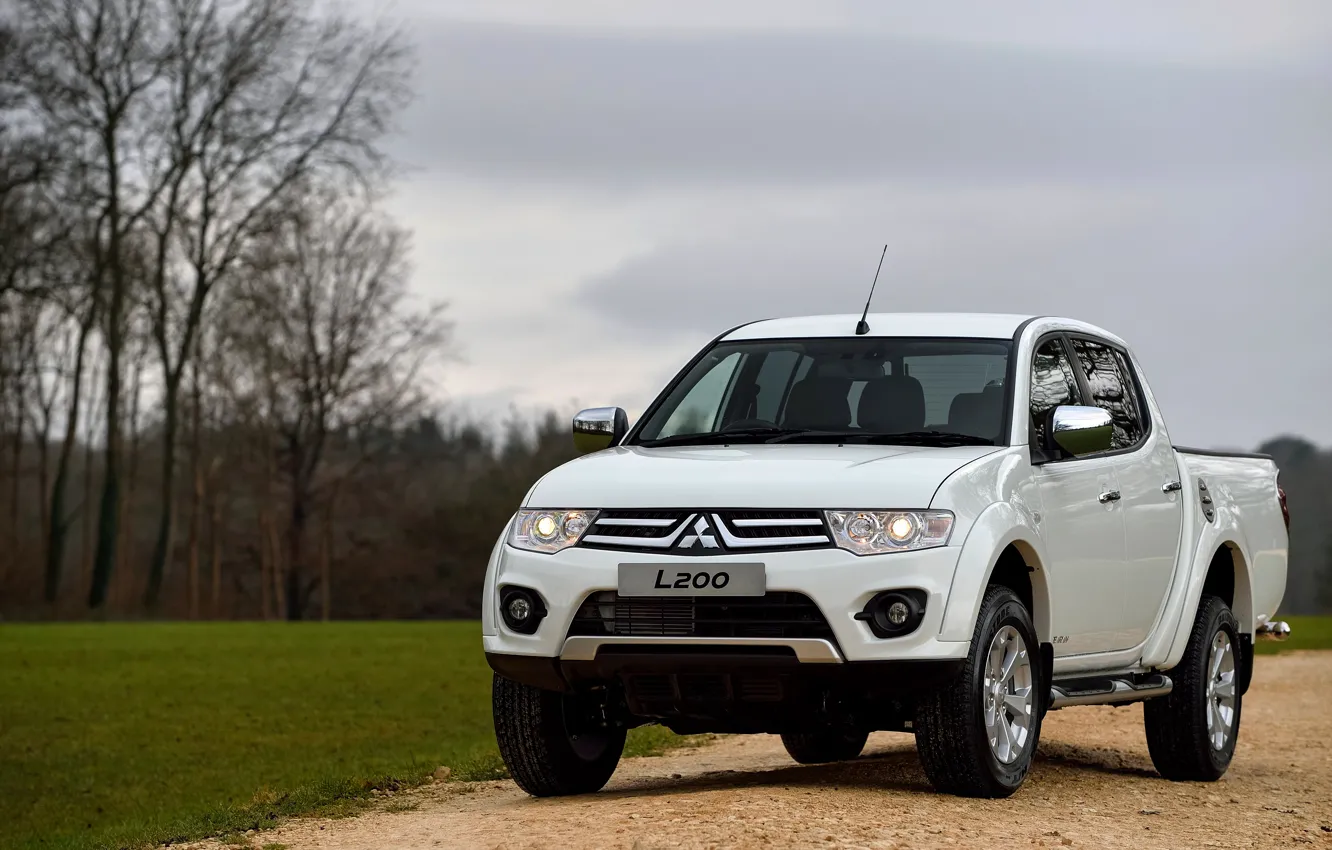 Фото обои белый, трава, Mitsubishi, пикап, 2014, Barbarian, L200