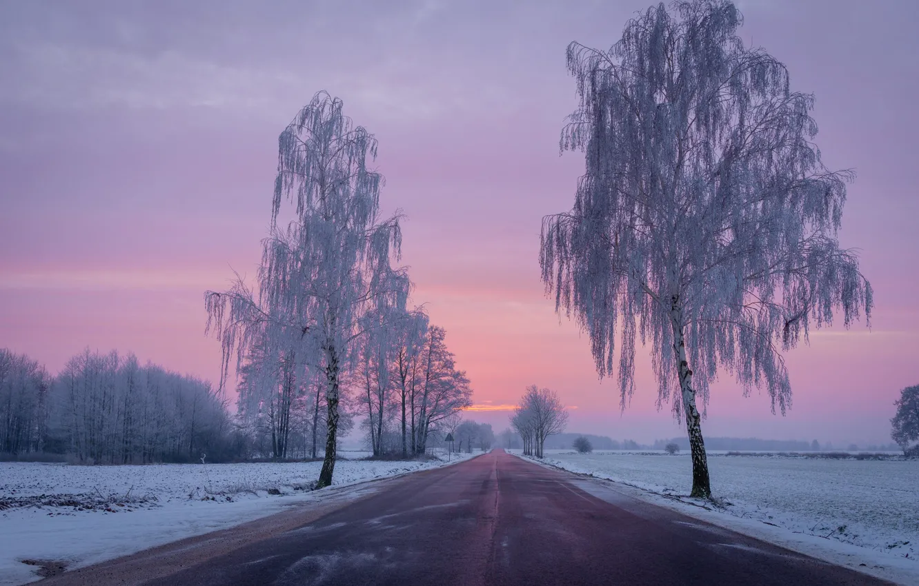 Фото обои зима, дорога, поле, снег, деревья, рассвет, утро, Польша