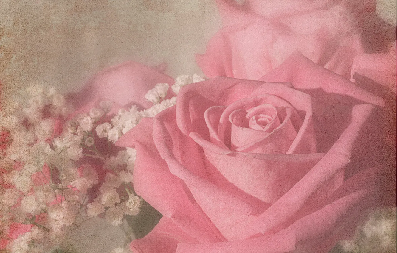 Фото обои розы, букет, текстура