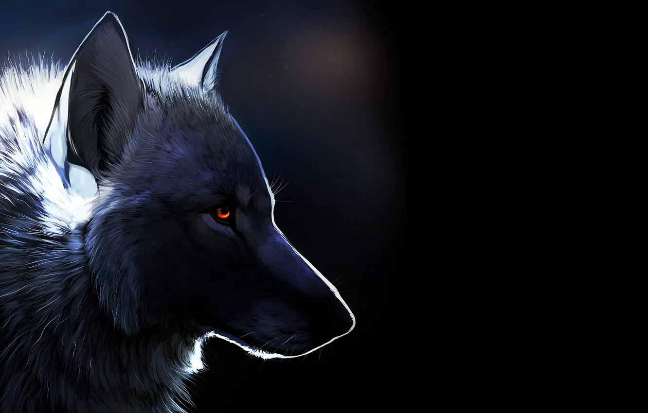Фото обои Волк, черный фон, янтарные глаза