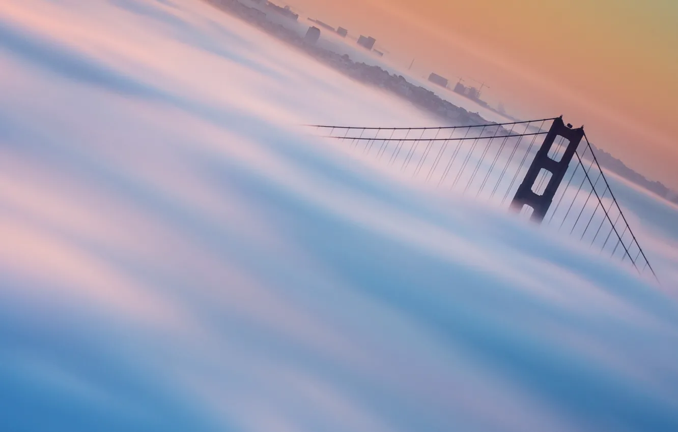 Фото обои fog, cityscape, golden gate bridge