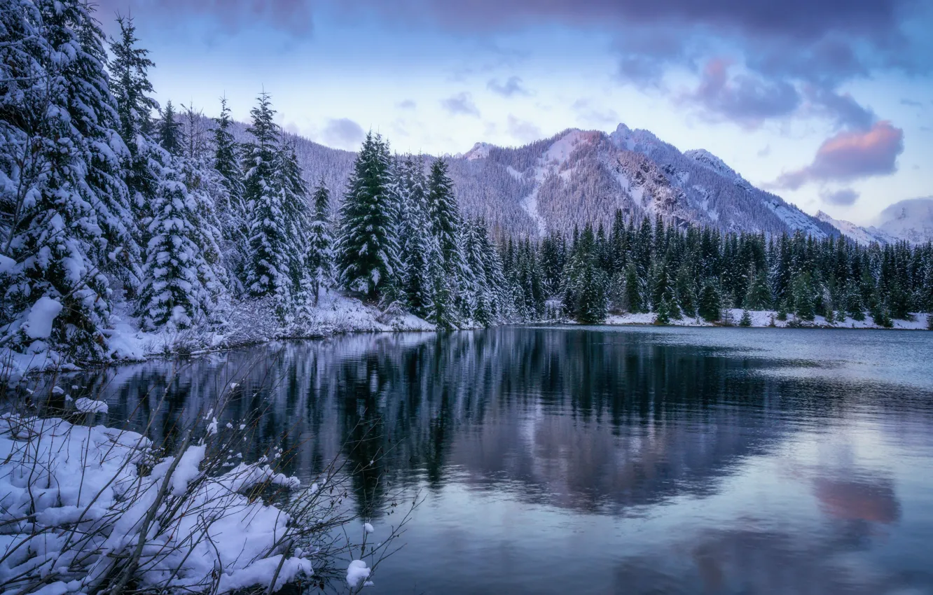 Фото обои зима, лес, горы, озеро, пруд, ели, штат Вашингтон, Каскадные горы