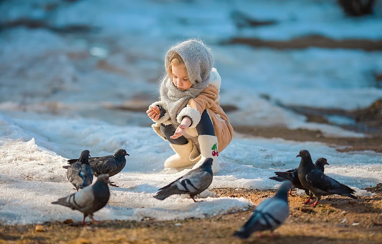 Фото обои снег, птицы, весна, голуби, девочка, ребёнок, кормление, Ирина Ларина