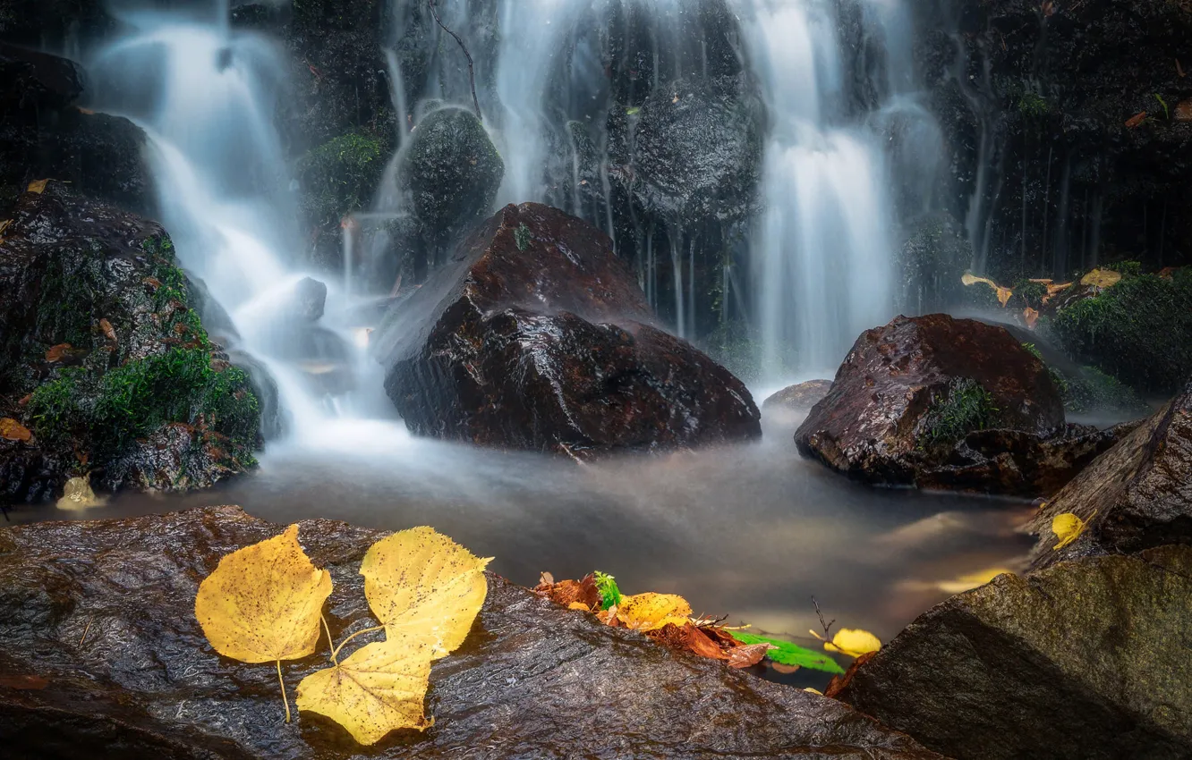 Фото обои осень, листья, природа, камни, водопад