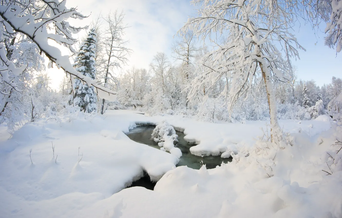 Фото обои зима, лес, снег, деревья, ручей, сугробы