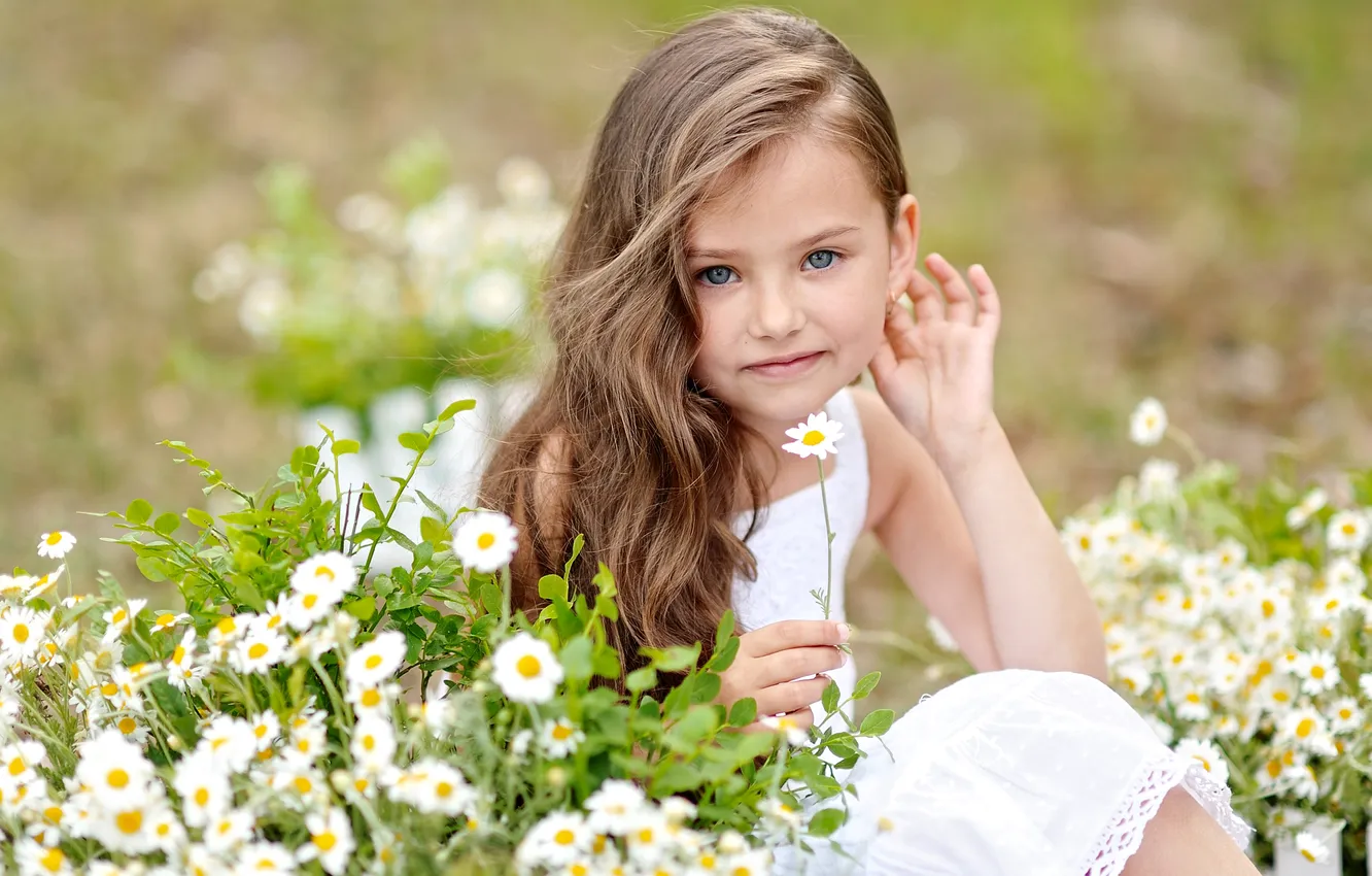 Фото обои лето, взгляд, цветы, ребенок, girls, Little, маленькая девочка, маргаритки