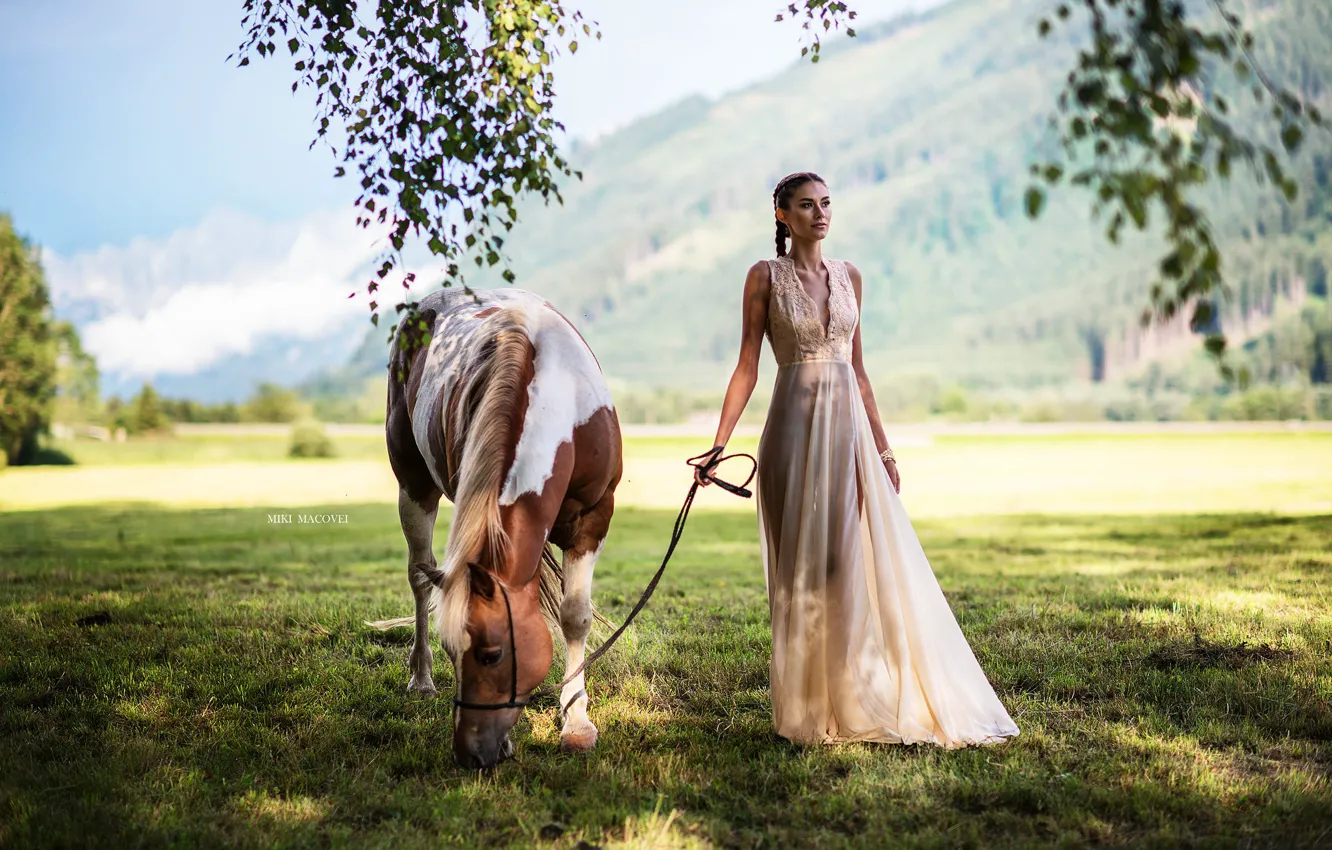 Фото обои поле, девушка, солнце, фото, лошадь, платье, Miki Macovei, Matea