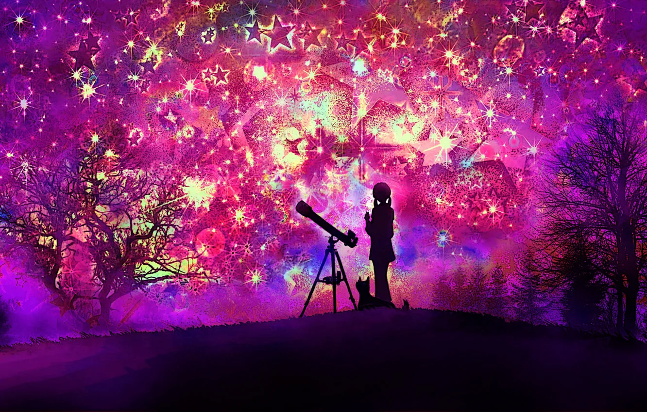 Фото обои кошка, небо, девушка, ночь, абстракция, телескоп