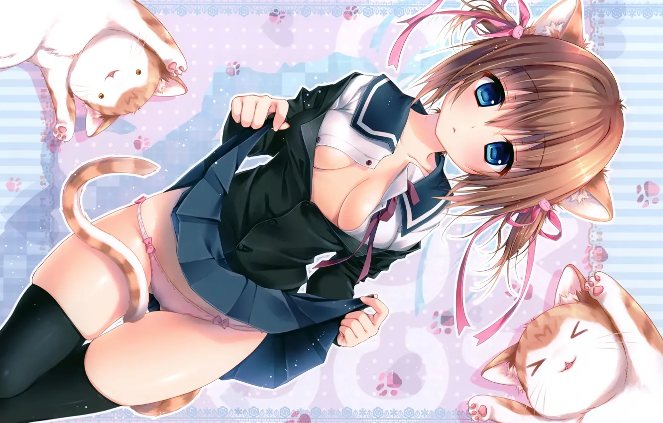 Фото обои girl, sexy, lingerie, pantsu, cleavage, school uniform, panties, thighhighs
