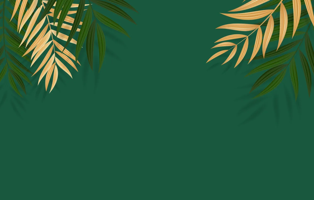 Фото обои Ветка, Тропики, Текстура, Texture, Tropics, Branch, Palm Leaf, Пальмовый лист