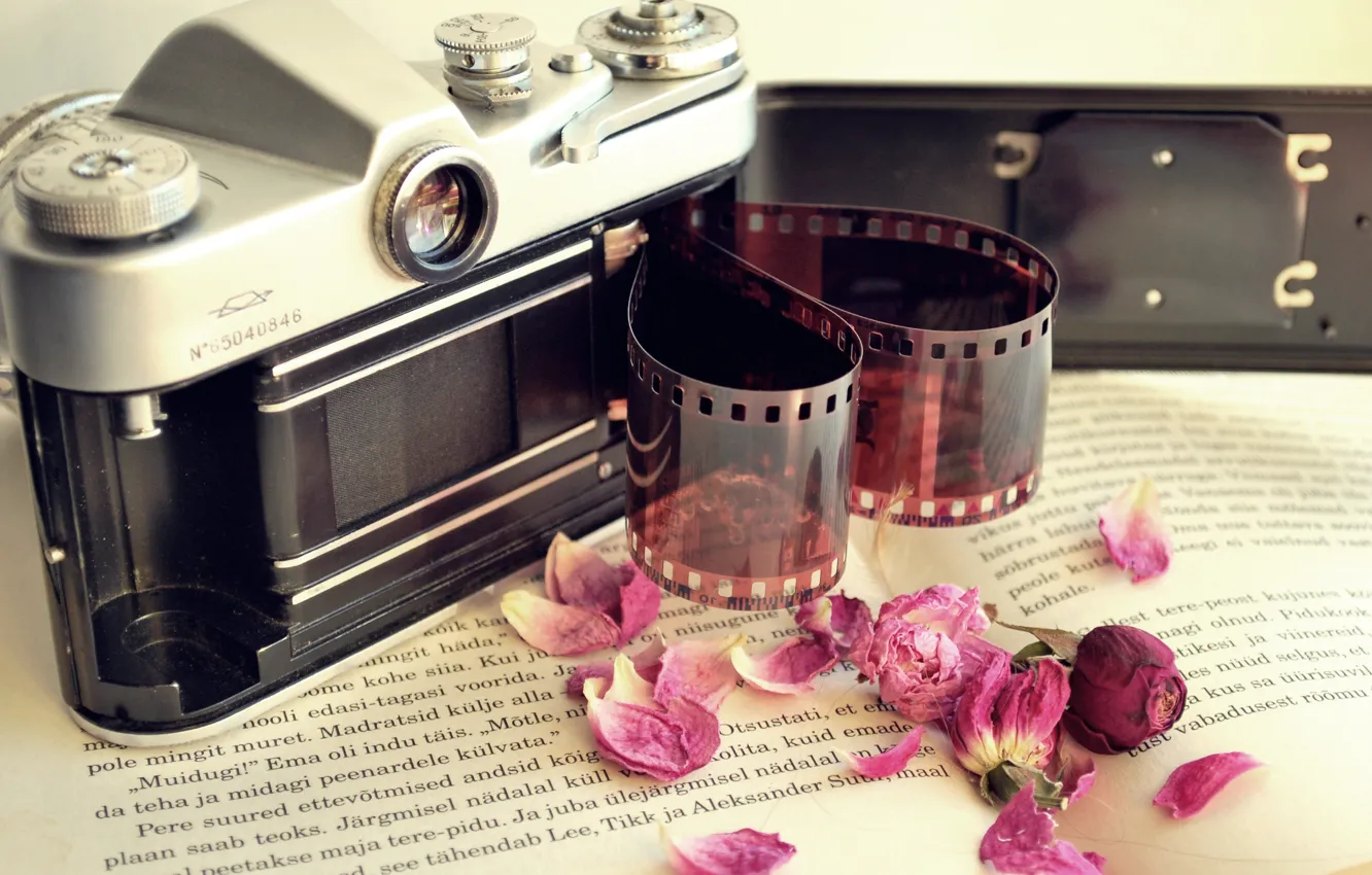 Фото обои цветы, камера, лепестки, фотоаппарат, сухие, пленка, книга, фотопленка
