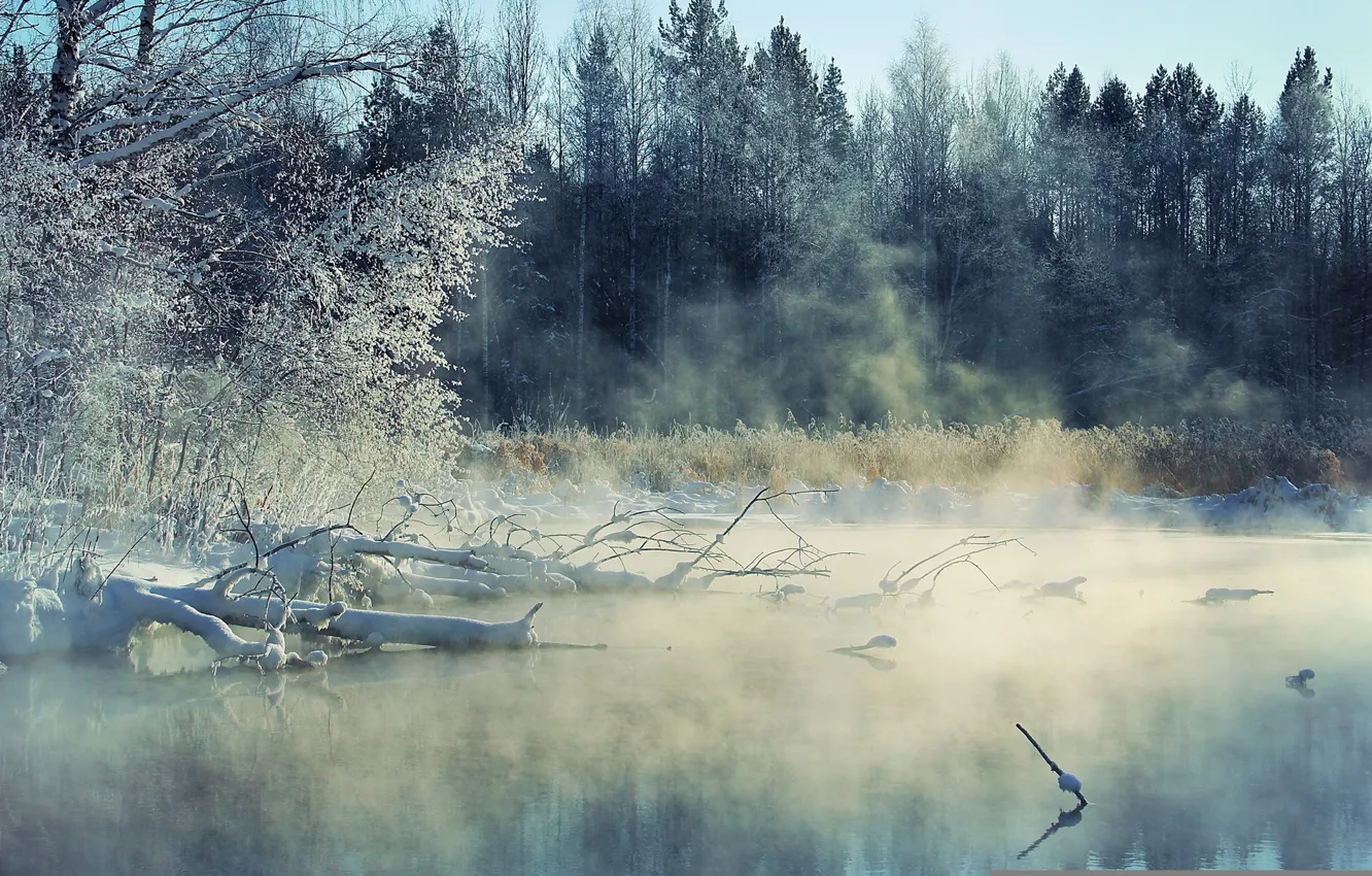 Фото обои зима, пейзаж, туман, река