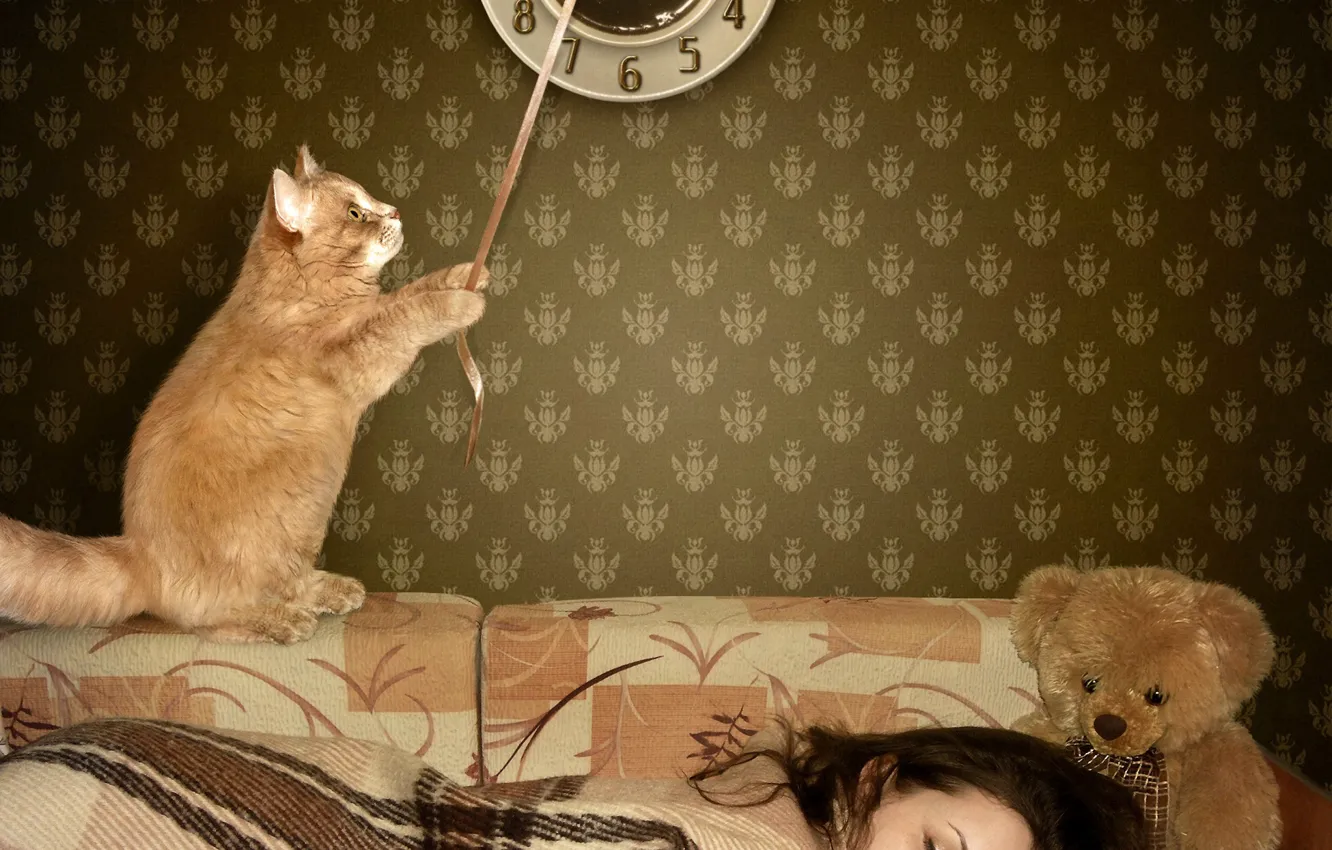 Фото обои кот, девушка, обои, часы, мишка, спит, bear, cat