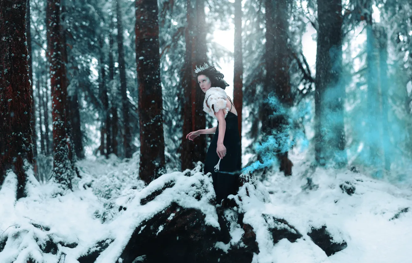 Фото обои зима, лес, девушка, снег, стиль, макияж, платье, фэнтези