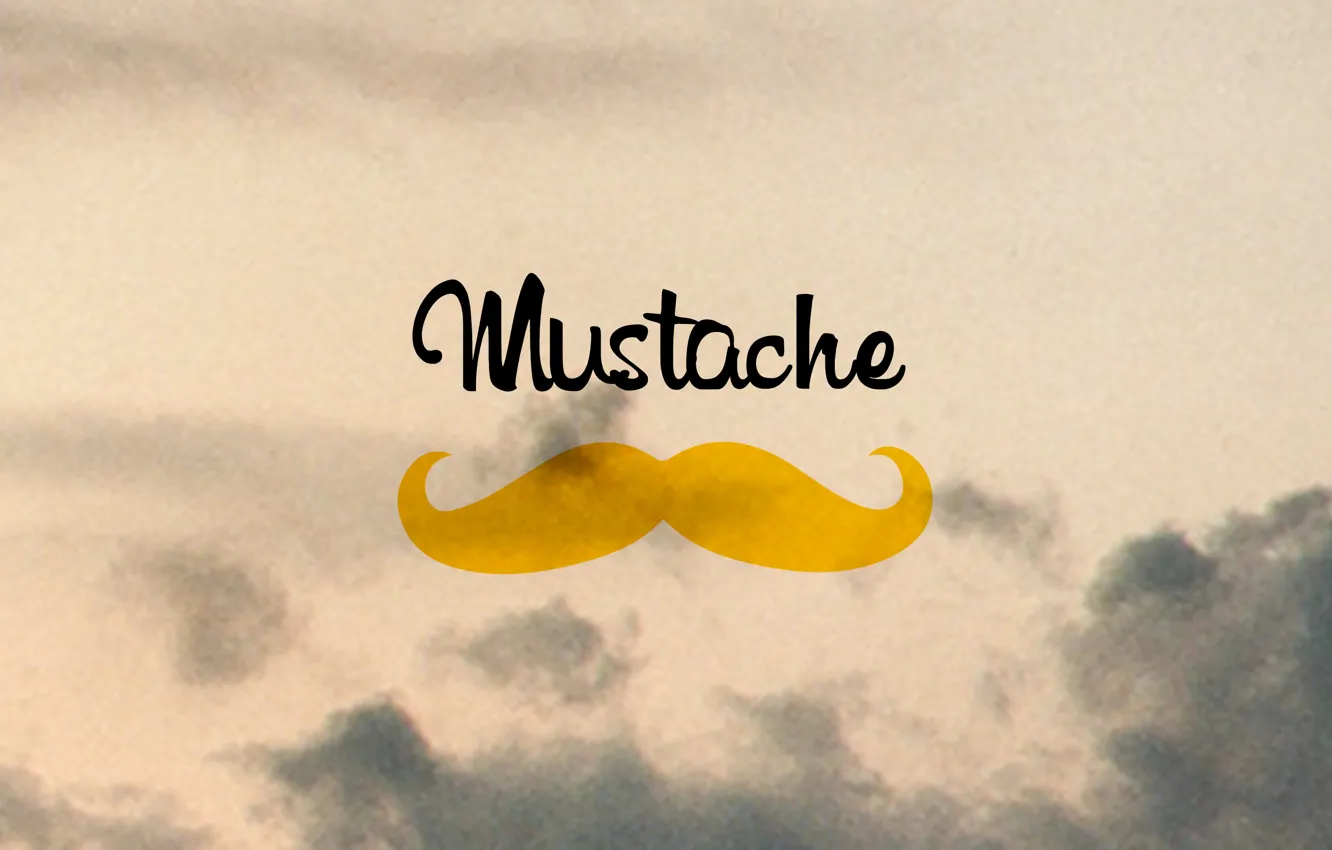 Фото обои minimalism, art, mustache, movember