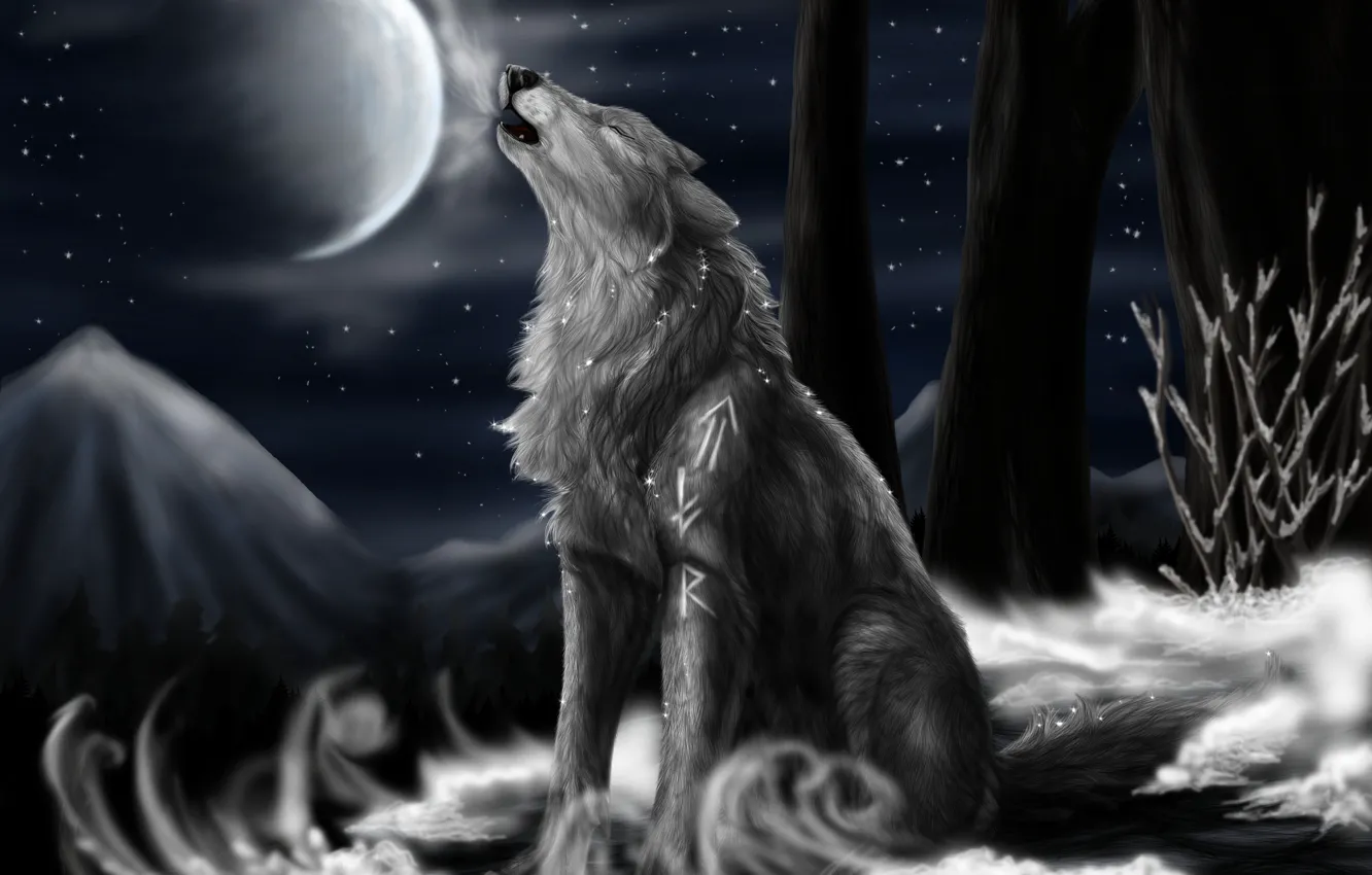 Фото обои ночь, луна, звёзды, Волк, North Howl