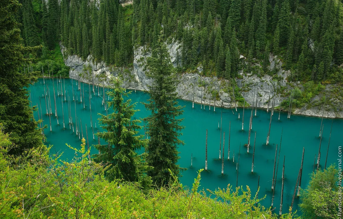 Фото обои Казахстан, Кольсайские озера, озеро Каинды, утонувший лес