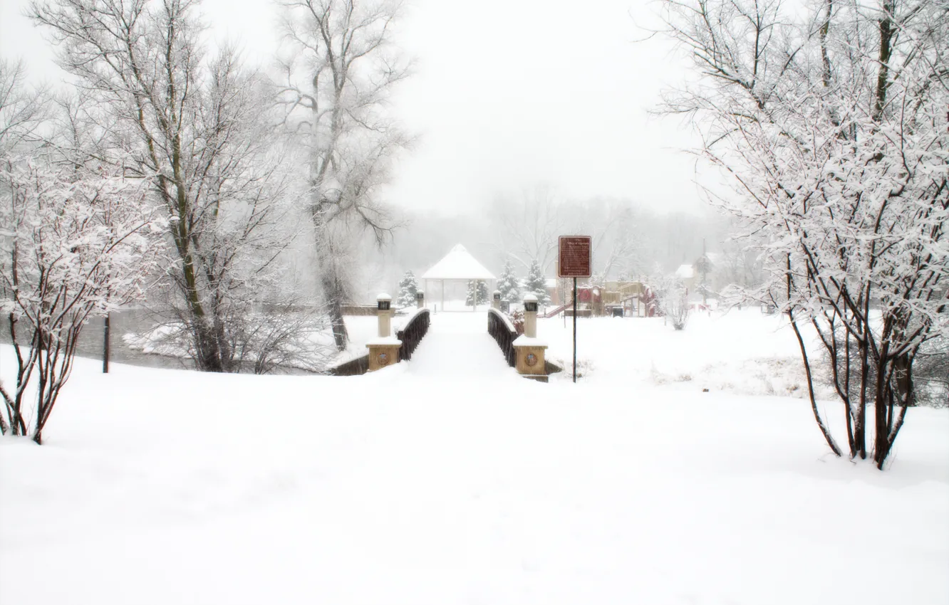 Фото обои зима, снег, деревья, Природа, деревня, мороз, метель, trees