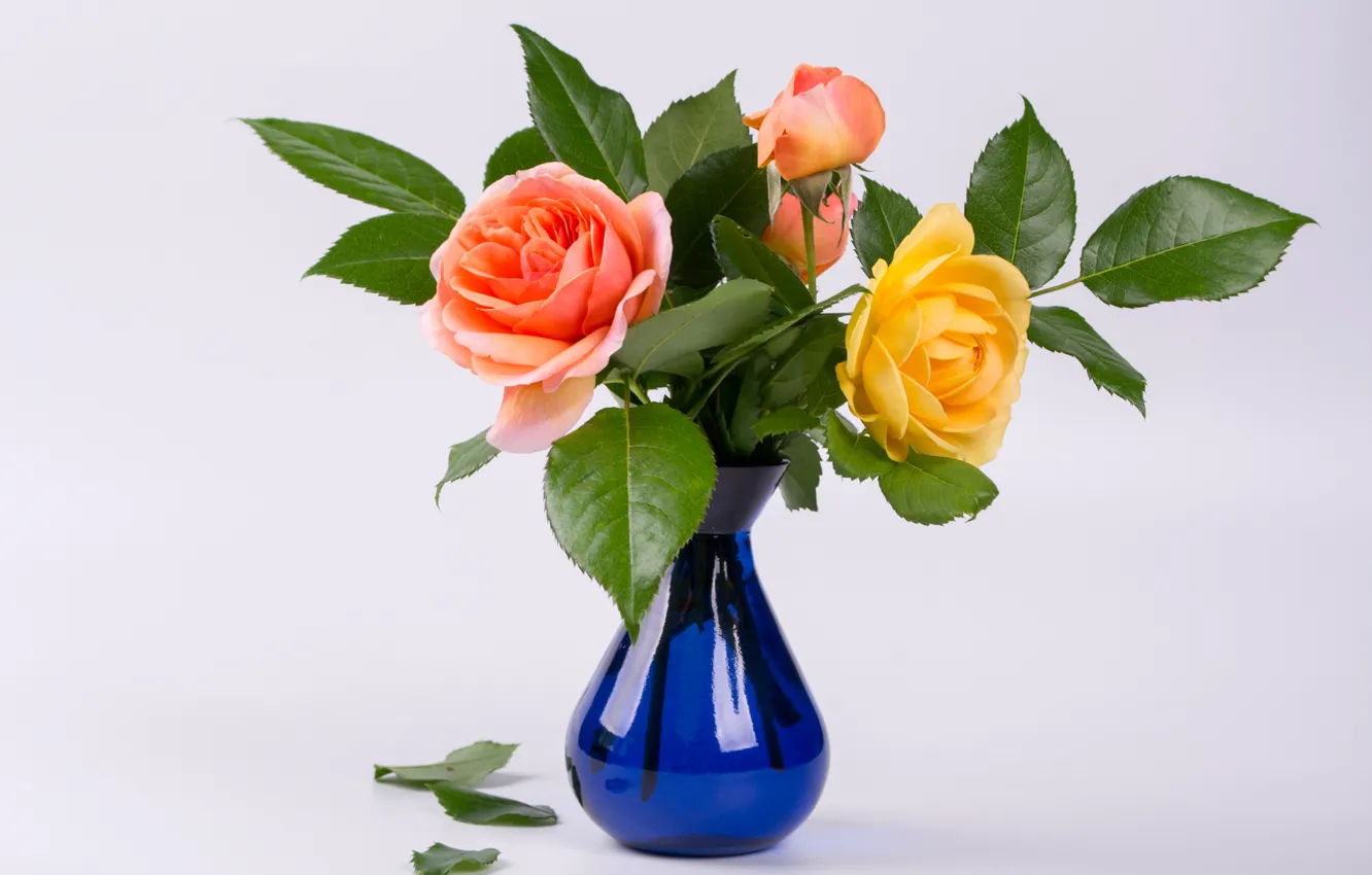 Фото обои розы, желтые, ваза