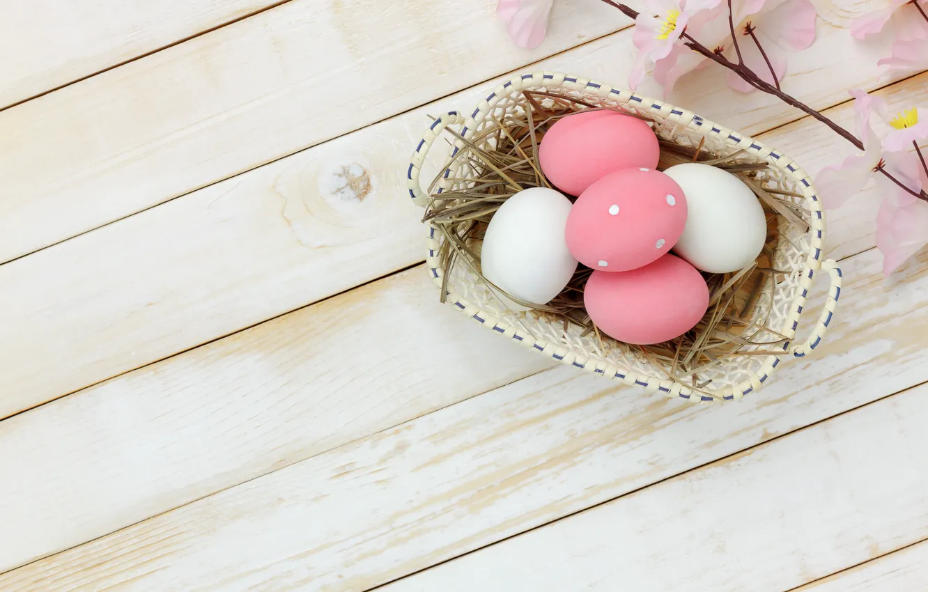 Фото обои цветы, яйца, весна, Пасха, розовые, wood, pink, blossom