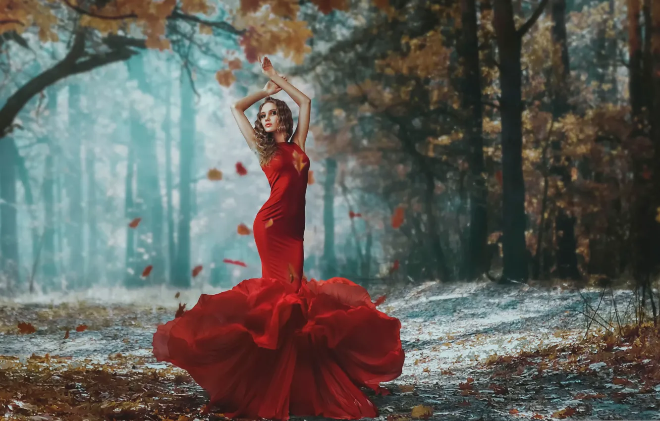 Фото обои девушка, фигура, платье, в красном, листопад, осенний лес, Darya Chacheva