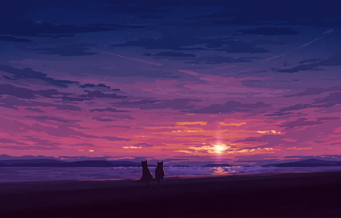 Фото обои море, небо, кошки, закат