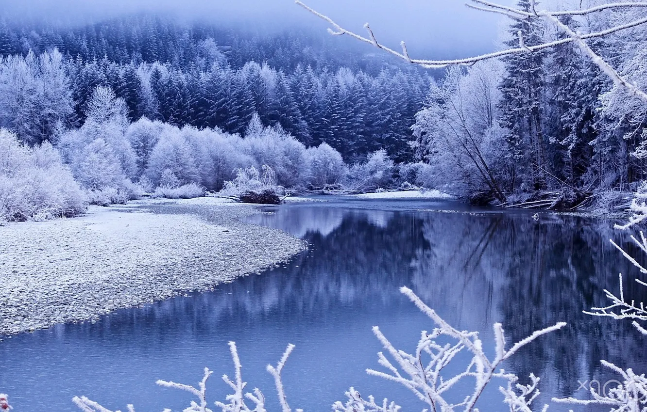 Фото обои зима, снег, деревья, озеро, winter, lake, snow, tree