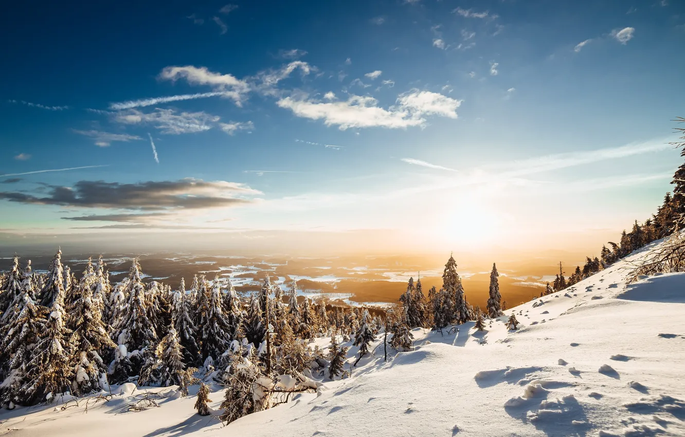 Фото обои зима, лес, небо, солнце, снег, пейзаж, природа, гора