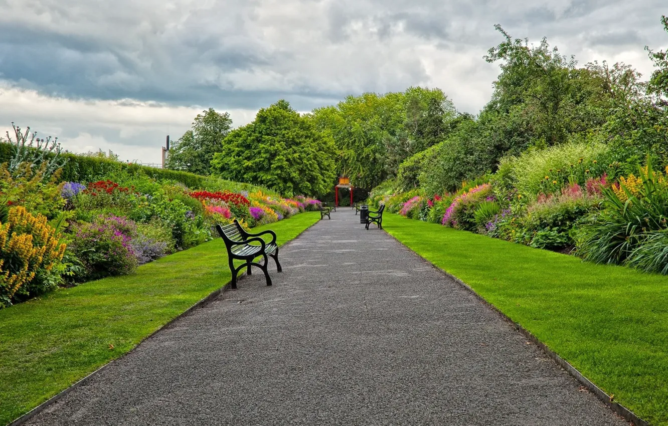 Фото обои trees, garden, bench