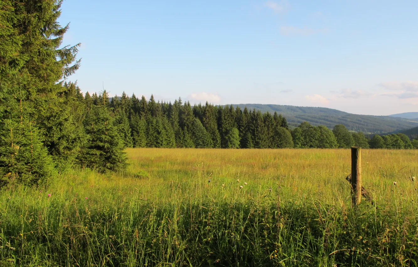 Фото обои поле, лес, горы, Чехия, Шумава, narodni park Šumava