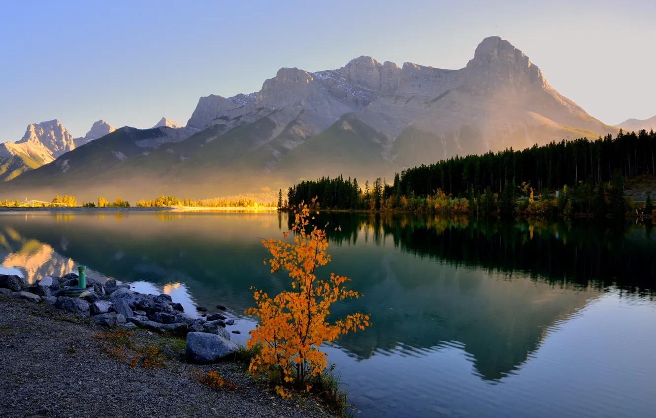 Фото обои лес, деревья, горы, озеро, утро, дымка, Canada, Banff
