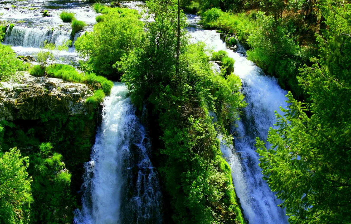 Фото обои зелень, вода, водопад, ярко, много