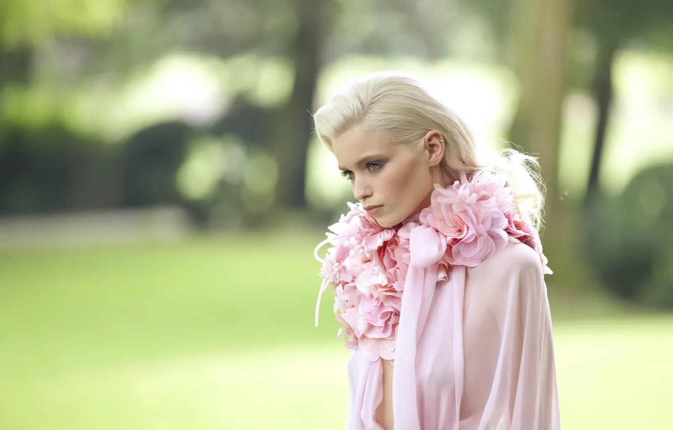 Фото обои взгляд, модель, макияж, актриса, блондинка, hair, Abbey Lee Kershaw, Abbey Lee