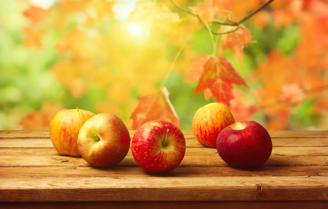 Фото обои осень, листья, стол, фон, яблоки, урожай, фрукты