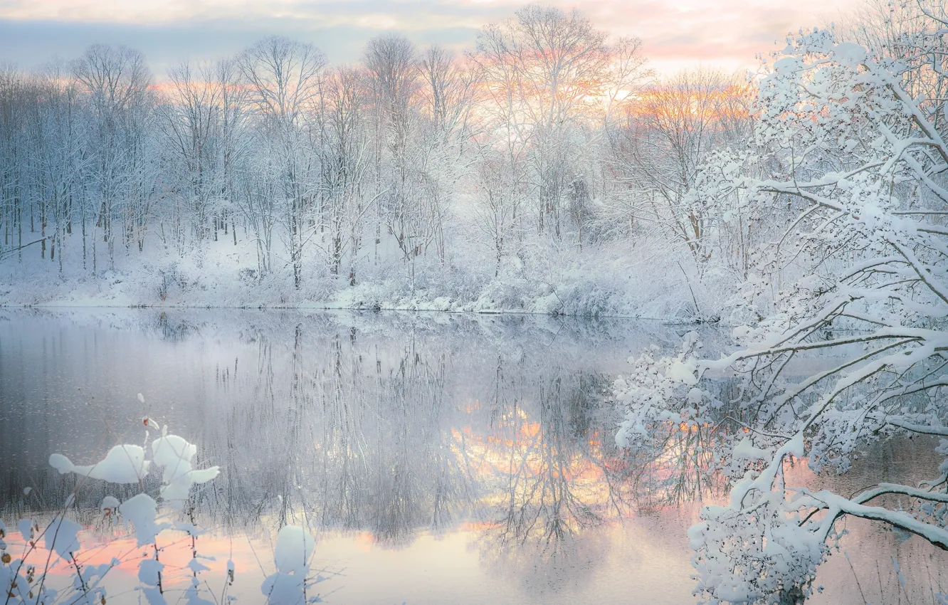 Фото обои зима, лес, снег, озеро, отражение, вечер