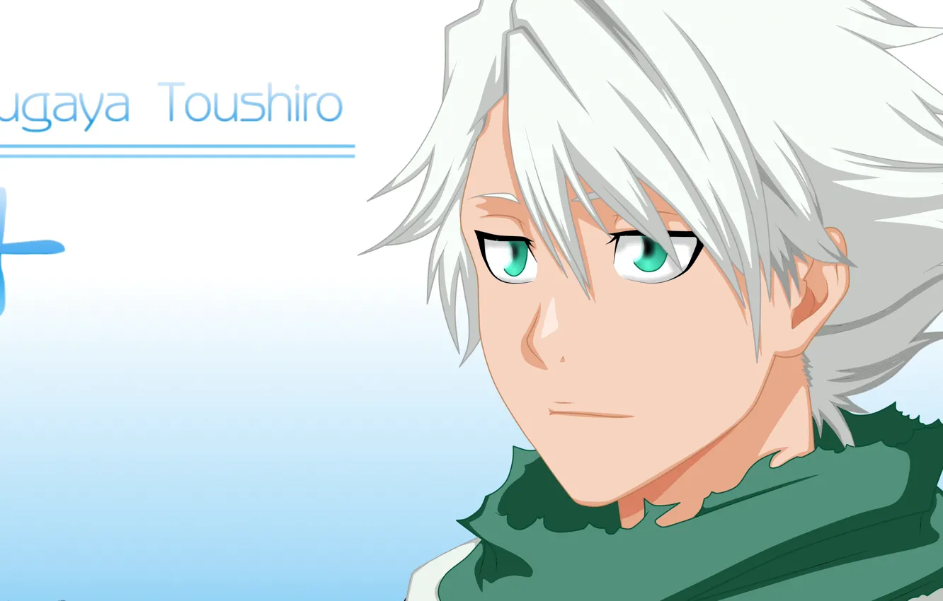 Фото обои Bleach, anime, captain, manga, sugoi, shinigami, taichou, japonese