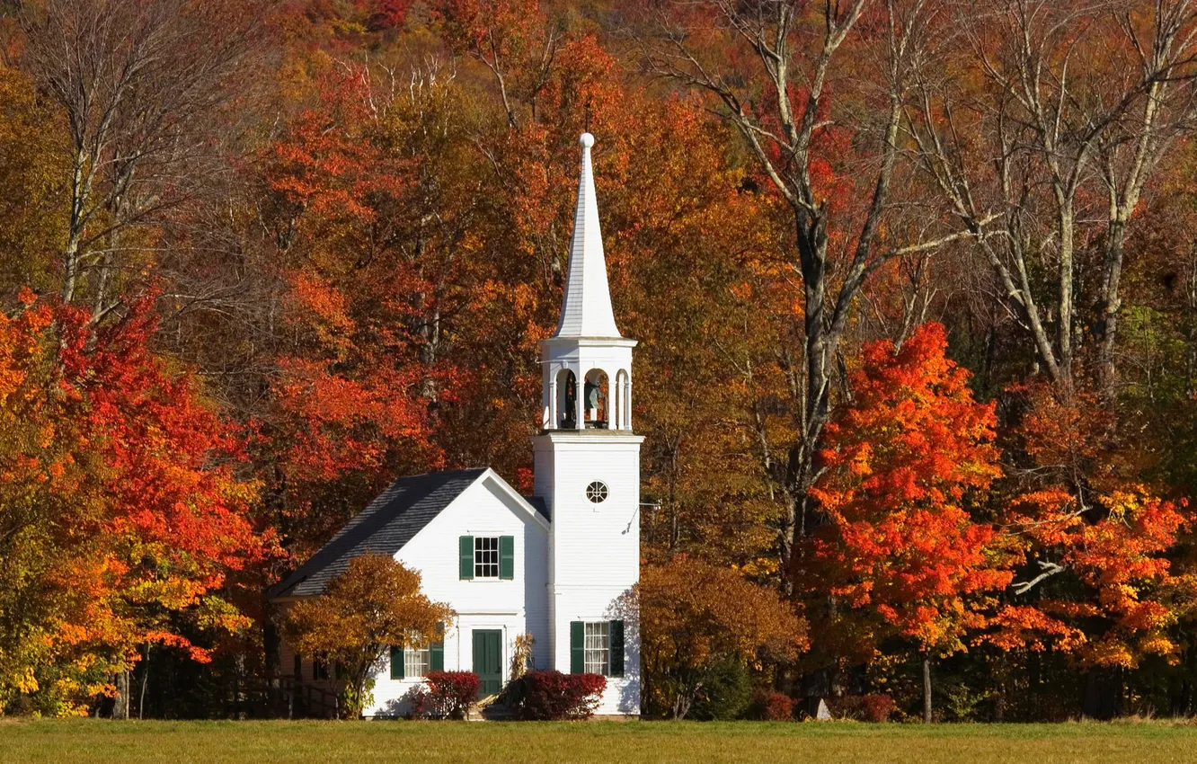 Фото обои осень, листья, деревья, листва, башня, церковь, домик, багрянец