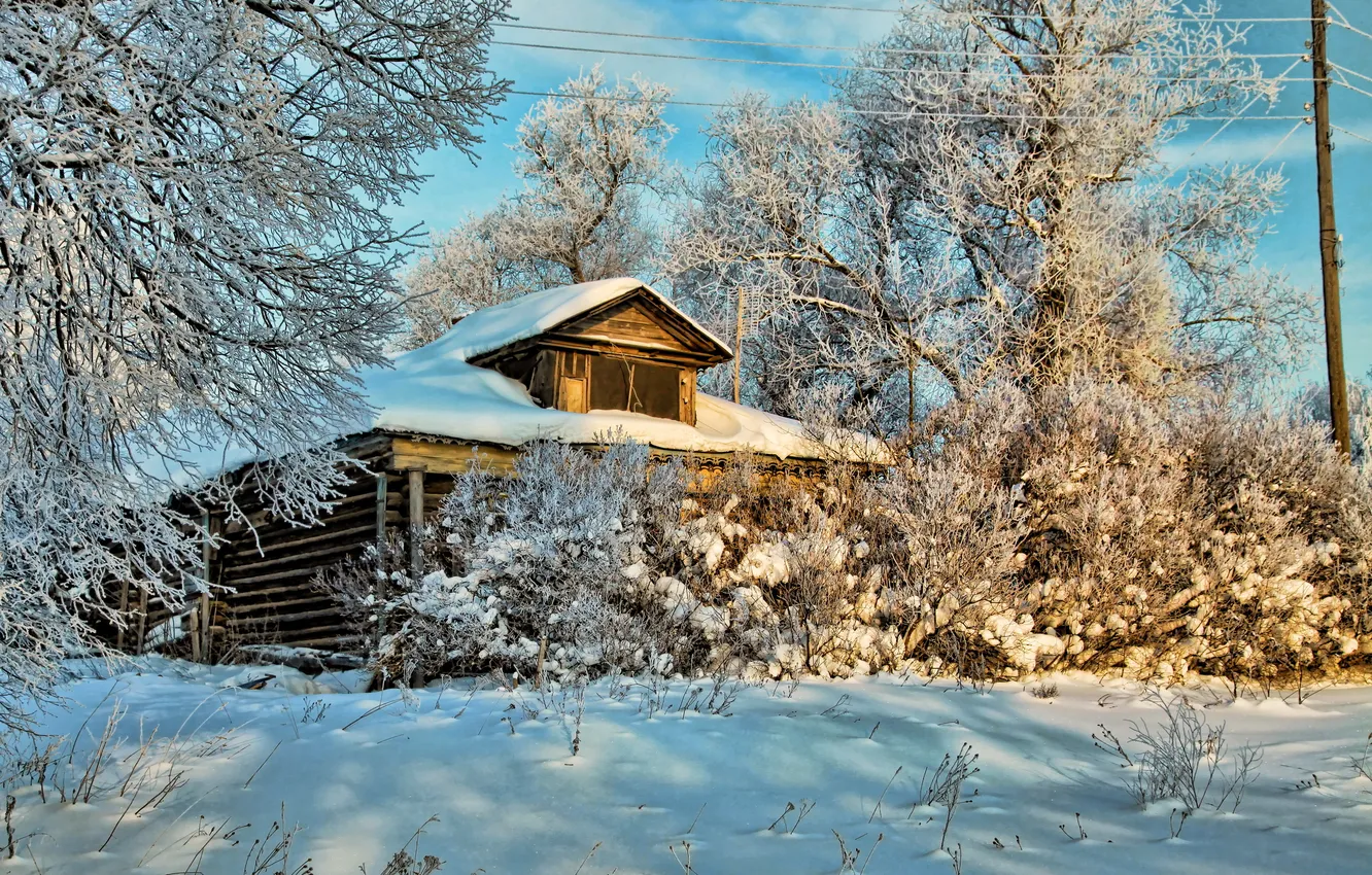 Фото обои зима, снег, деревья, природа, фото, дома