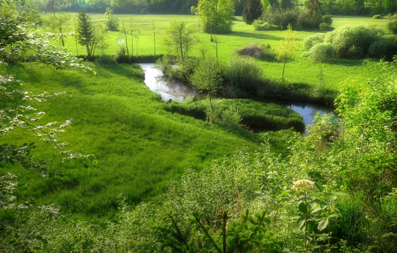 Фото обои зелень, поле, трава, ручей, Лето, summer, grass, field