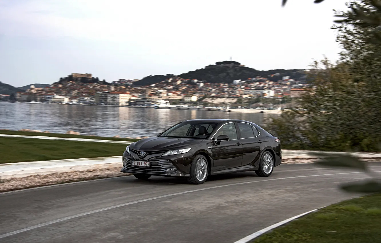 Фото обои дорога, Toyota, седан, Hybrid, Camry, у водоёма, 2019