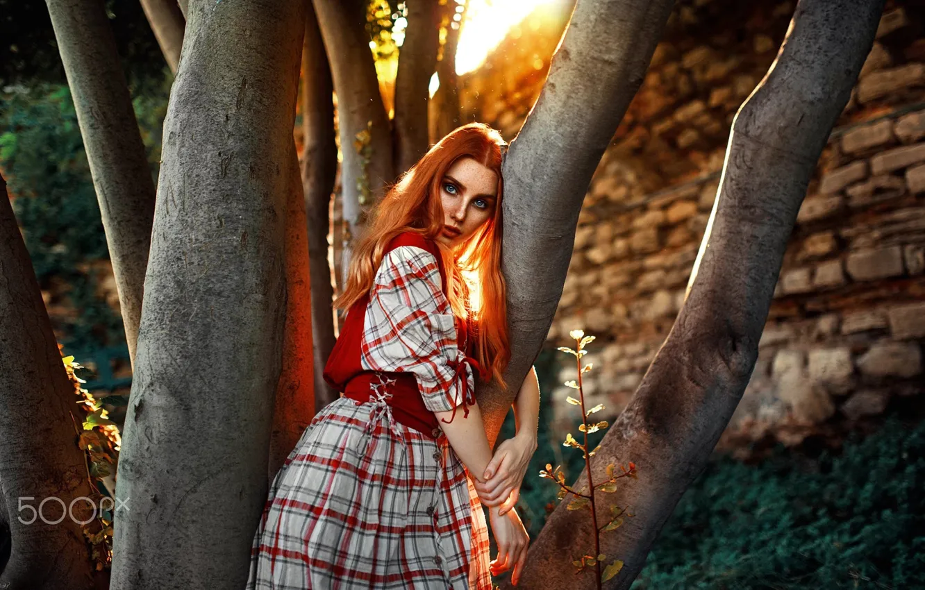 Фото обои взгляд, свет, дерево, Девушка, рыжая, Kaan ALTINDAL
